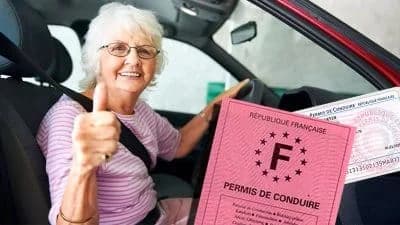 Führerschein kaufen